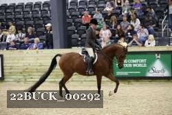22BUCK_00292 proof