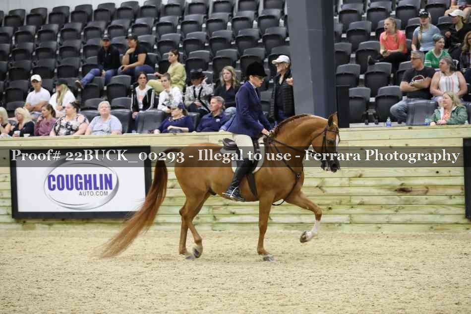 Proof 22BUCK_00293