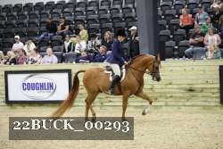 22BUCK_00293 proof