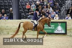 22BUCK_00294 proof
