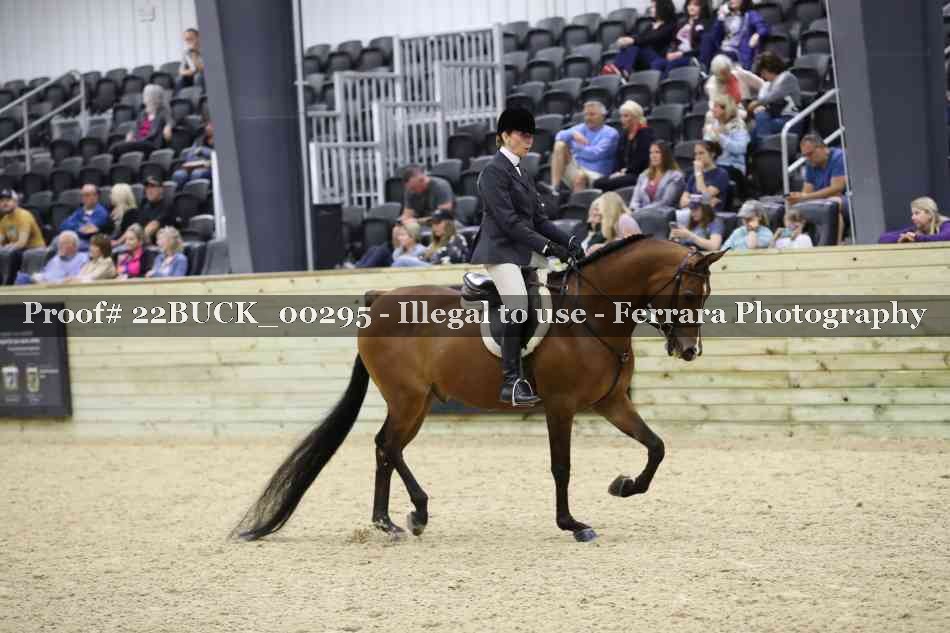 Proof 22BUCK_00295