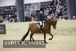 22BUCK_00295 proof