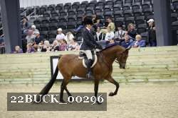 22BUCK_00296 proof