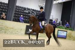 22BUCK_00297 proof