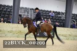 22BUCK_00299 proof