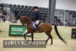 22BUCK_00300 proof