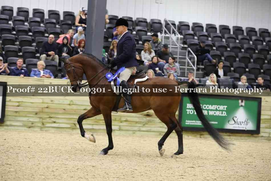Proof 22BUCK_00301