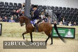 22BUCK_00301 proof
