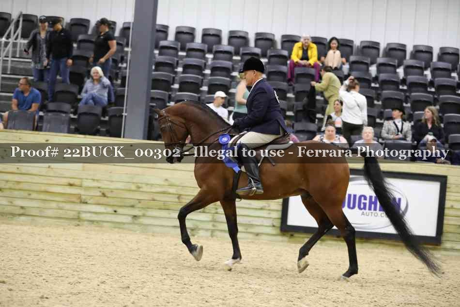 Proof 22BUCK_00302