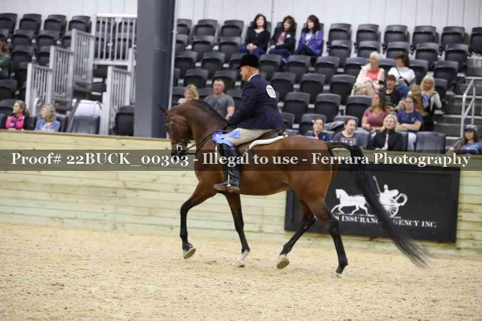 Proof 22BUCK_00303
