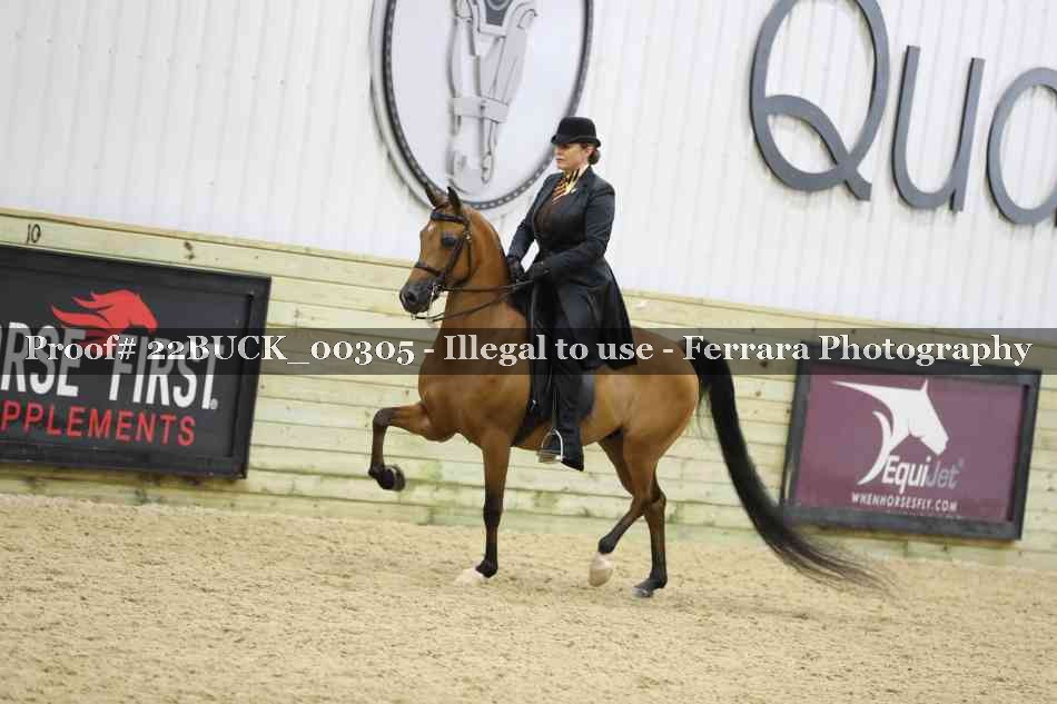 Proof 22BUCK_00305