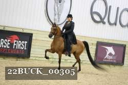 22BUCK_00305 proof