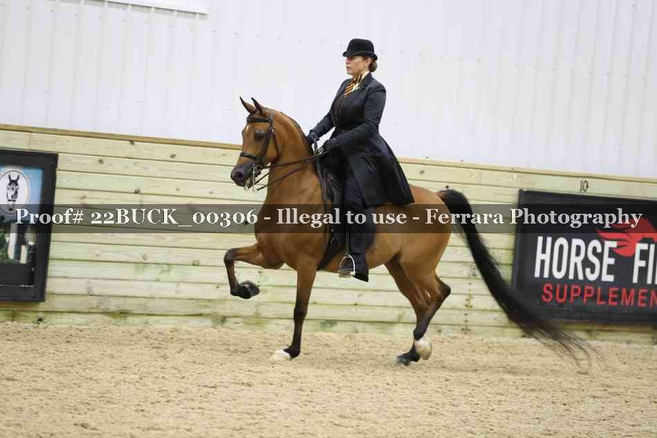 Proof 22BUCK_00306