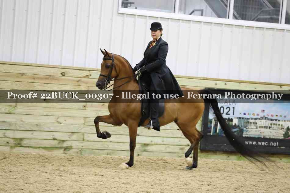 Proof 22BUCK_00307
