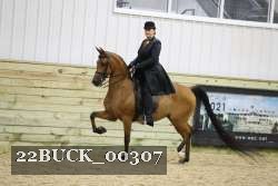 22BUCK_00307 proof