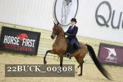 22BUCK_00308 proof