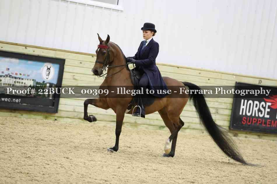 Proof 22BUCK_00309