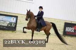 22BUCK_00309 proof