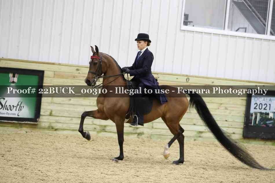 Proof 22BUCK_00310