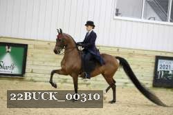 22BUCK_00310 proof