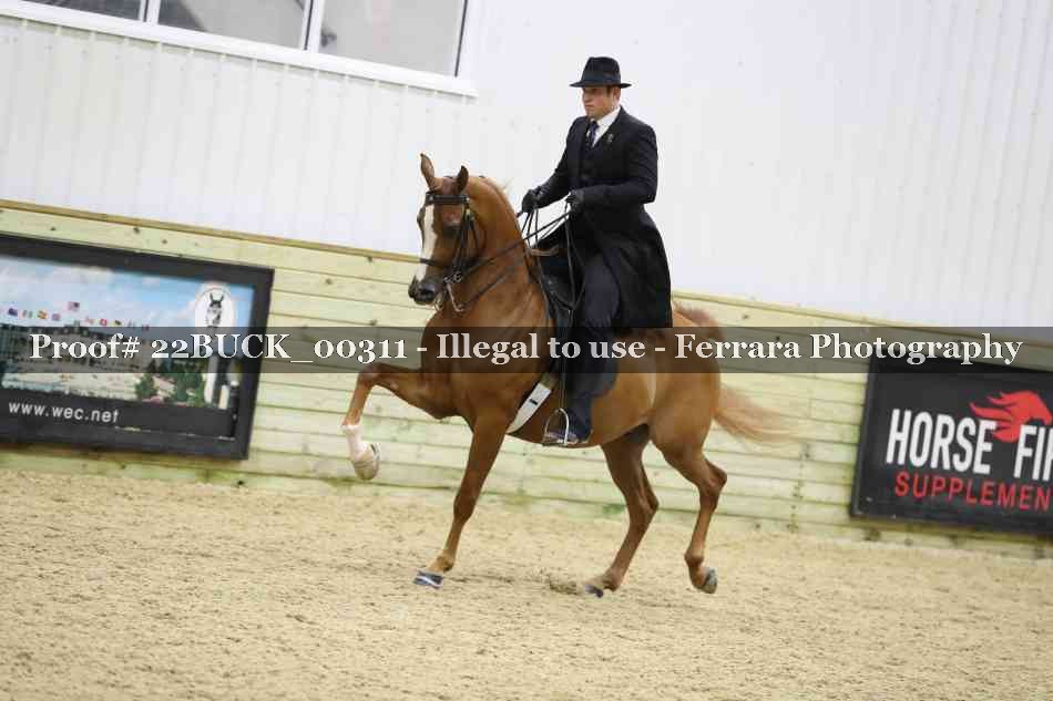Proof 22BUCK_00311