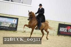 22BUCK_00311 proof