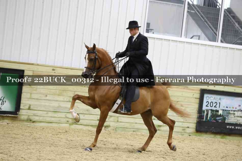 Proof 22BUCK_00312
