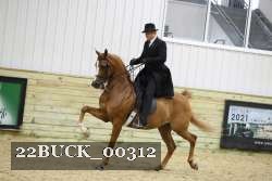 22BUCK_00312 proof