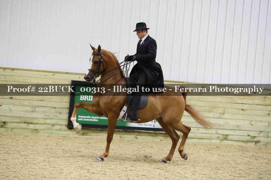 Proof 22BUCK_00313