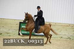 22BUCK_00313 proof