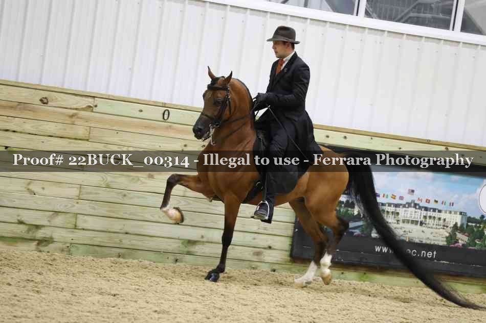 Proof 22BUCK_00314