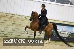 22BUCK_00314 proof