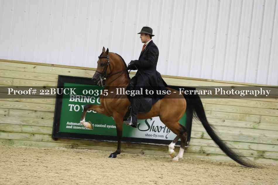 Proof 22BUCK_00315