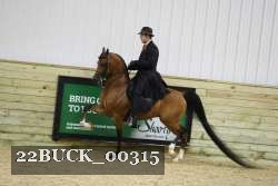 22BUCK_00315 proof