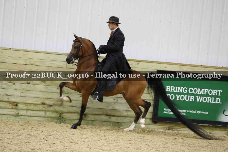Proof 22BUCK_00316
