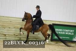 22BUCK_00316 proof