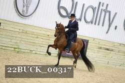 22BUCK_00317 proof