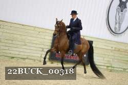 22BUCK_00318 proof
