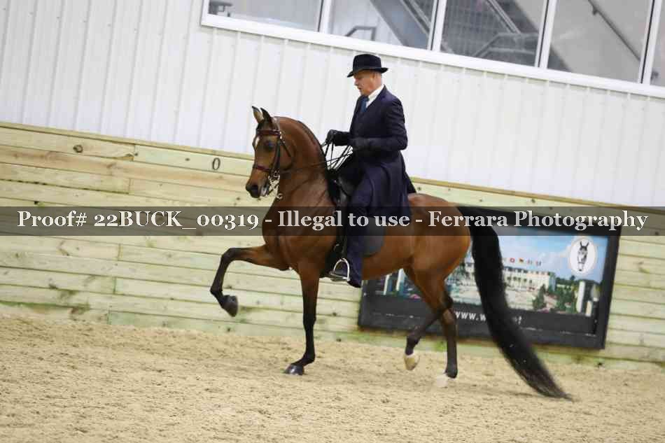 Proof 22BUCK_00319