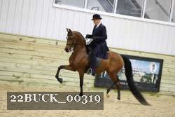 22BUCK_00319 proof