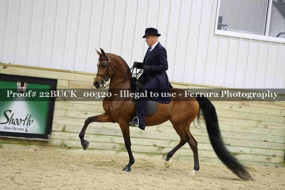 Proof 22BUCK_00320