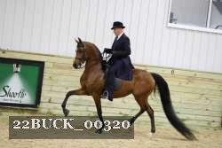 22BUCK_00320 proof