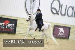 22BUCK_00321 proof