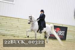 22BUCK_00322 proof