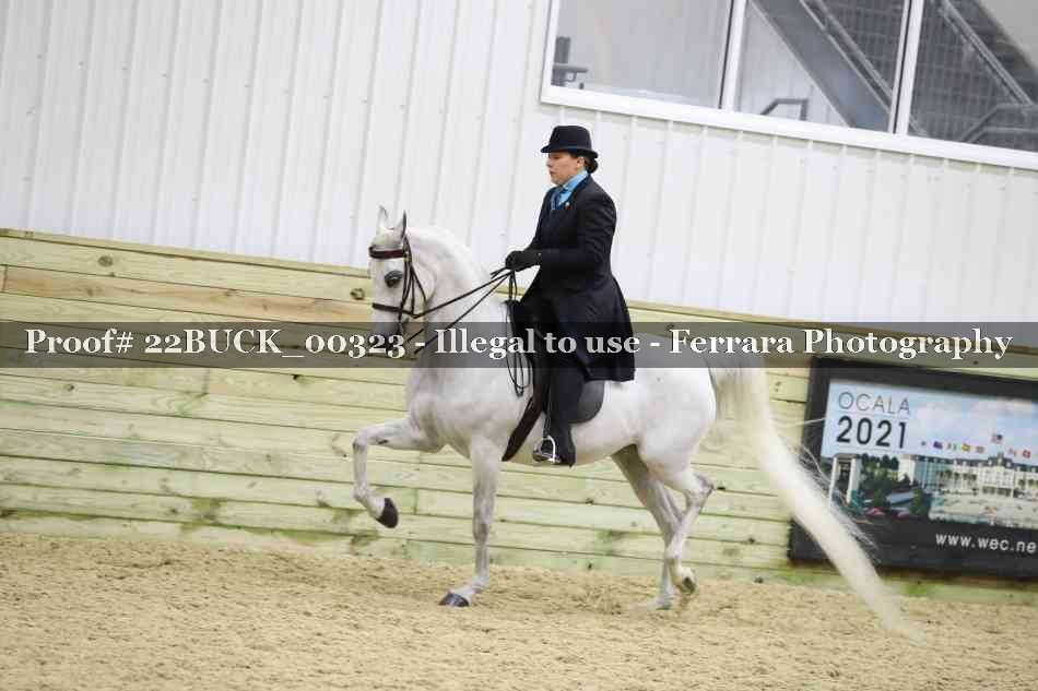 Proof 22BUCK_00323