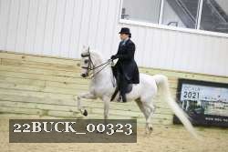 22BUCK_00323 proof