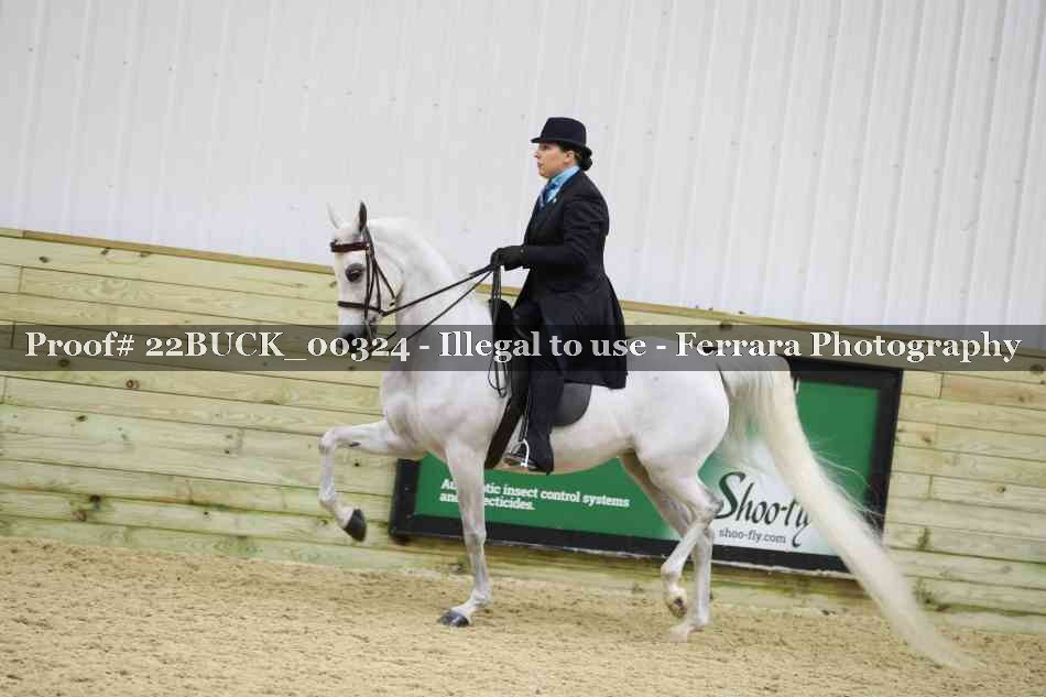 Proof 22BUCK_00324