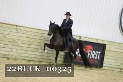 22BUCK_00325 proof