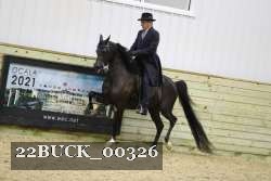 22BUCK_00326 proof