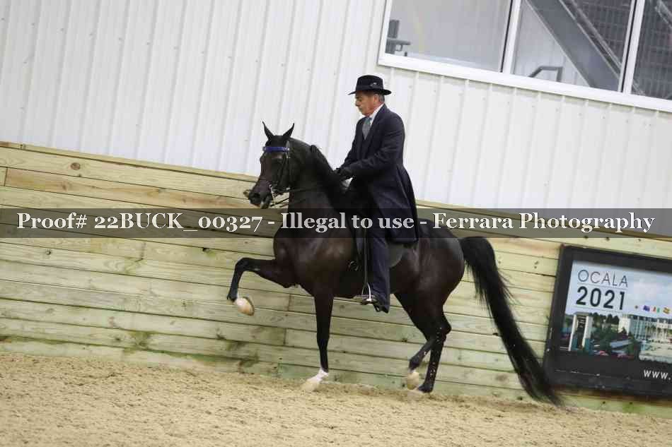 Proof 22BUCK_00327